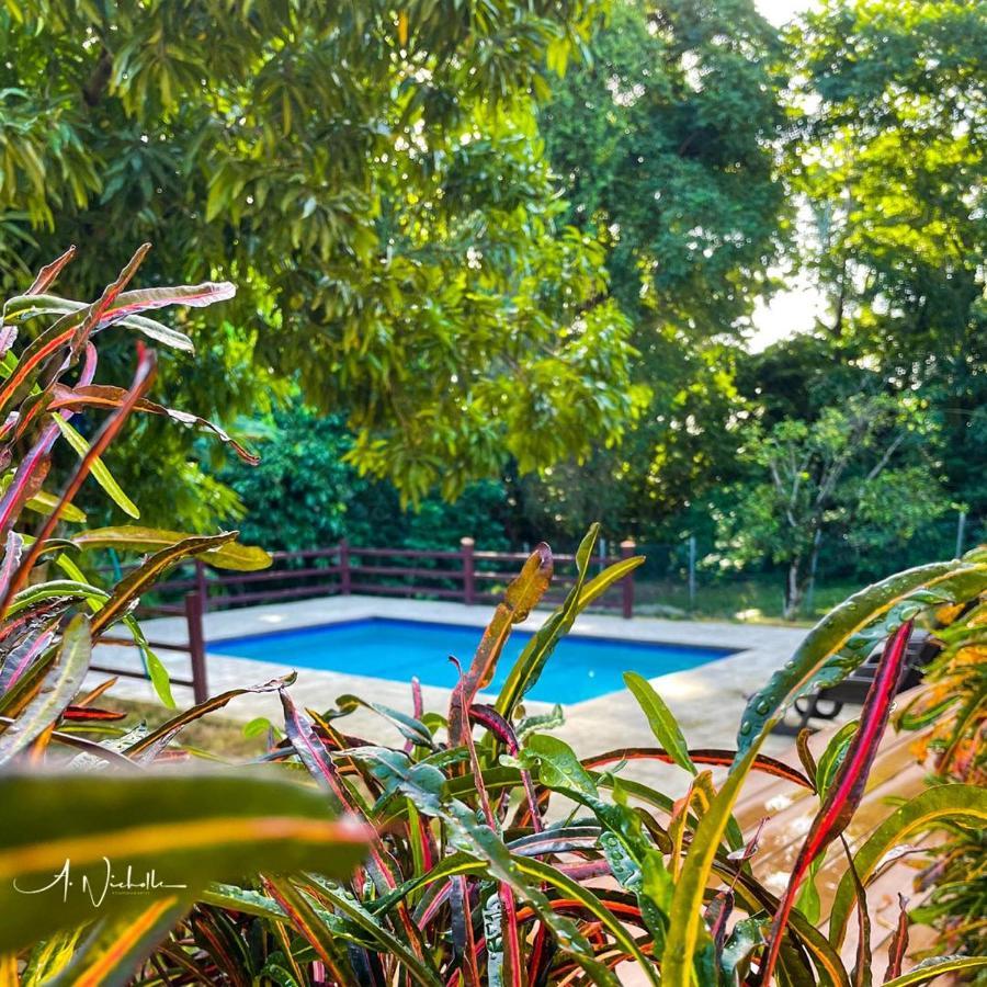 Tropical Apartments Tobago Scarborough Exteriér fotografie